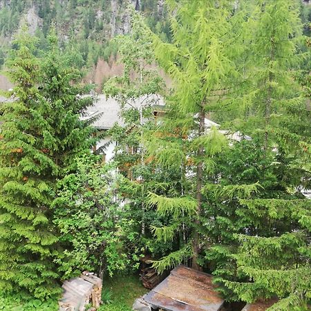Apartmán Cesa Pier Sellaronda Dolomiti Campitello di Fassa Exteriér fotografie