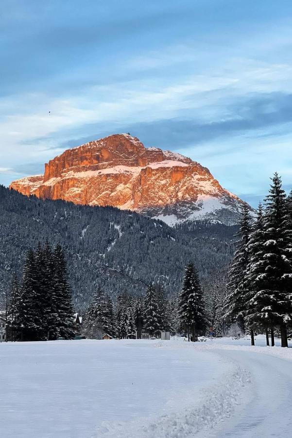 Apartmán Cesa Pier Sellaronda Dolomiti Campitello di Fassa Exteriér fotografie