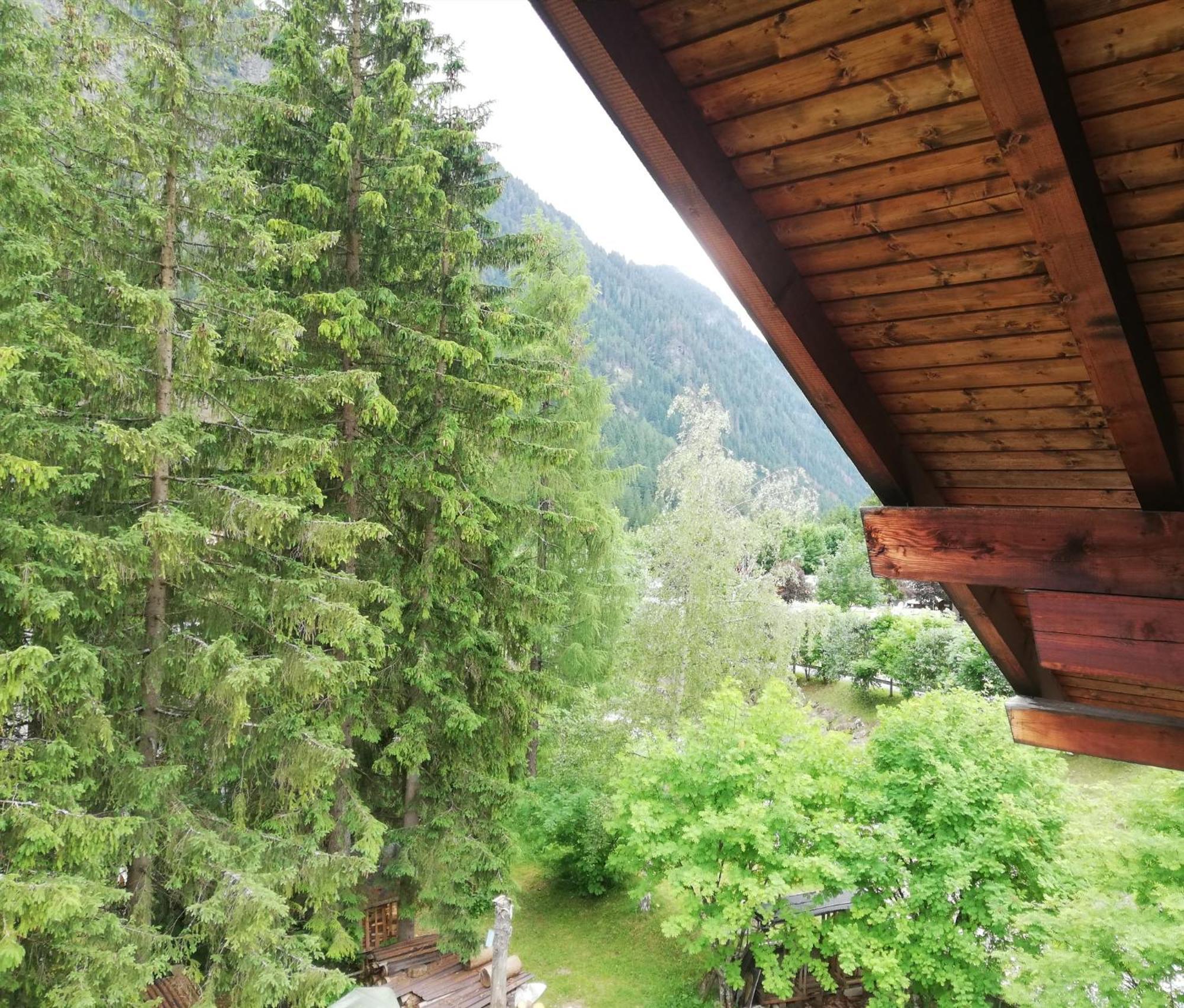 Apartmán Cesa Pier Sellaronda Dolomiti Campitello di Fassa Exteriér fotografie